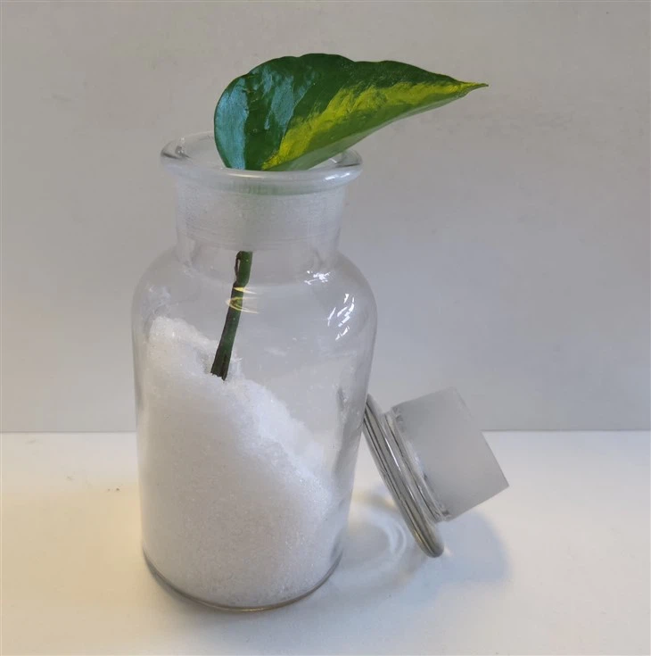 Calcium Nitrate Crystalline Fertilizers